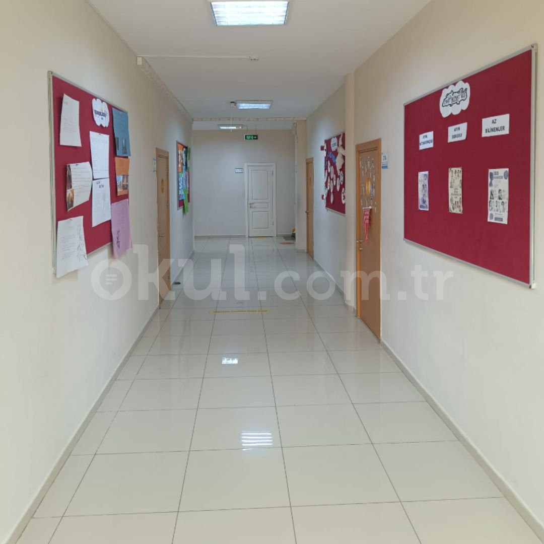 Özel Pendik Elma Koleji İlkokulu - 7