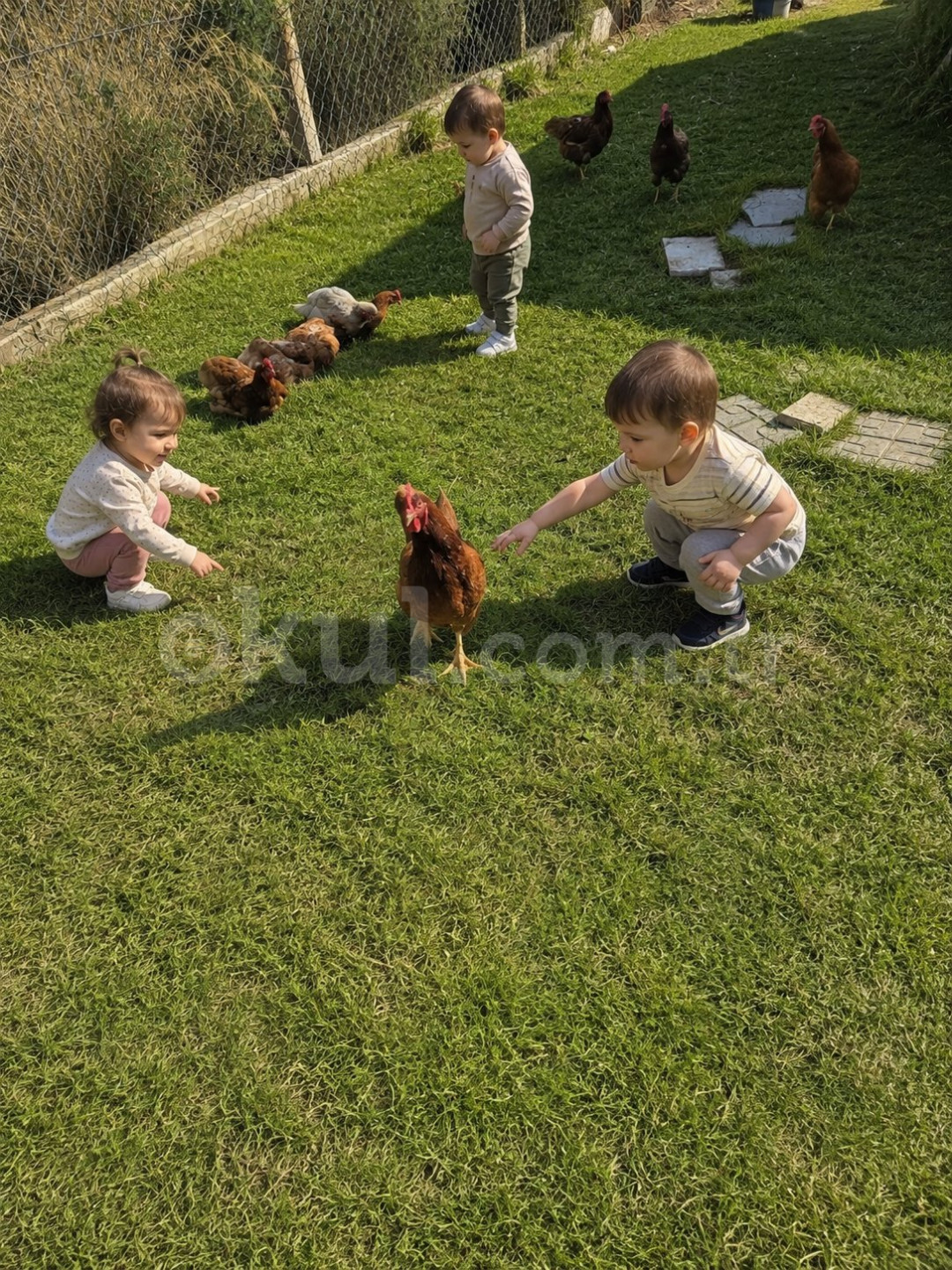 Özel Karataraklı Junior Kreş ve Gündüz Bakımevi - 34