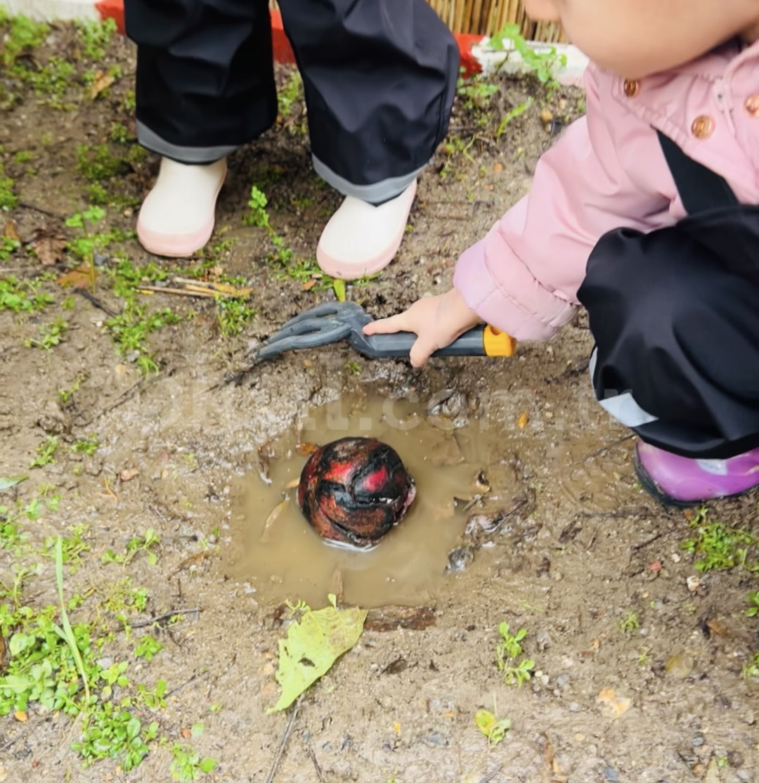 Özel Nar Gündüz Bakımevi - 19