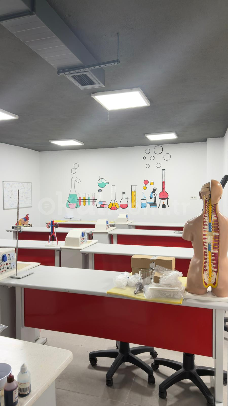 Özel Kağıthane Bil Koleji Ortaokulu - 10