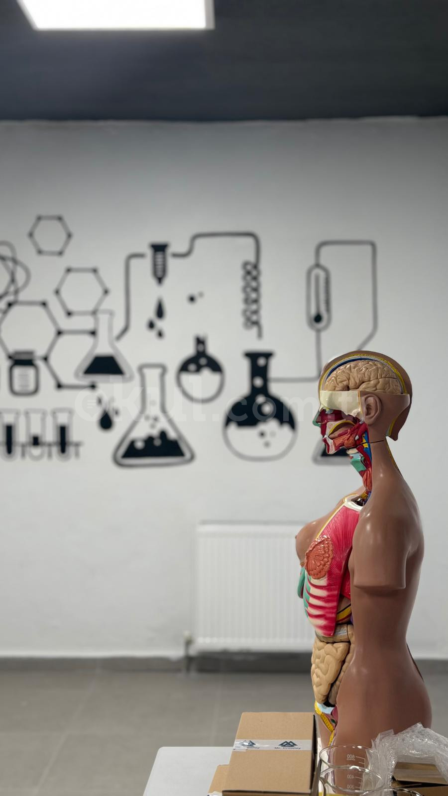 Özel Kağıthane Bil Koleji Anadolu Lisesi - 26