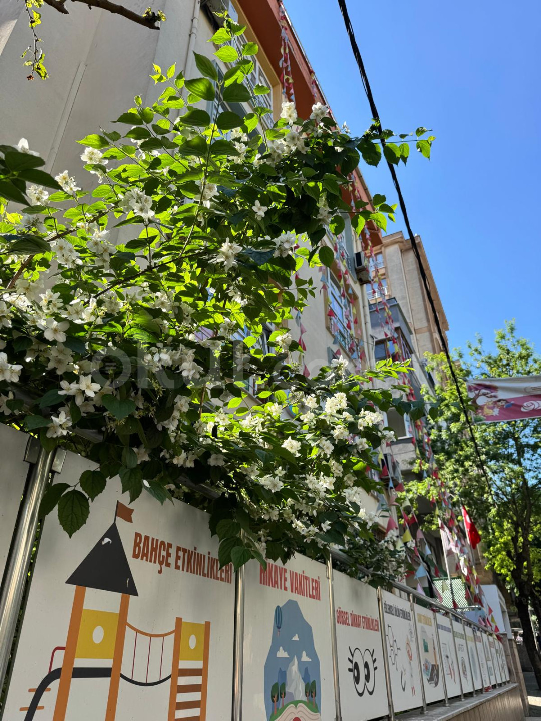 Özel Armağanevler Gülbahçesi Anaokulu - 7