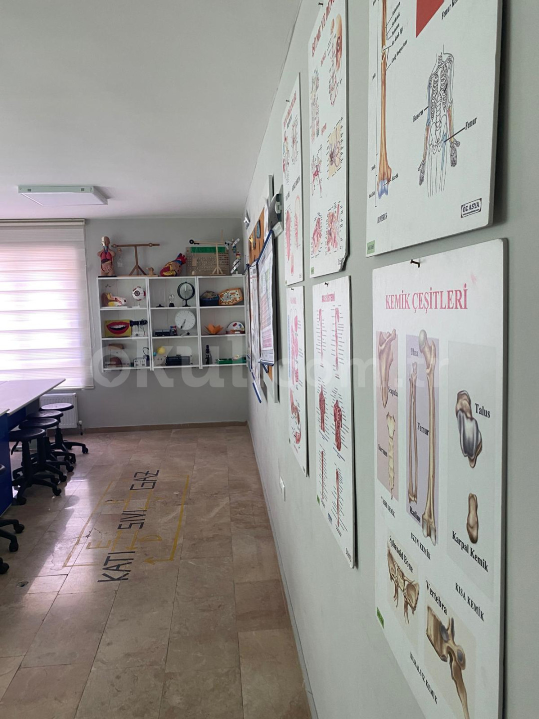 Özel Altındağ Bil Koleji Ortaokulu - 16