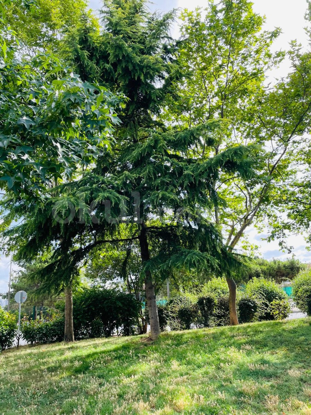 Özel Ataşehir Akademi Çocuk Anaokulu - 5