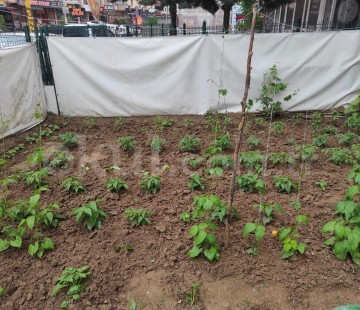 Özel Minik Mucizeler Gündüz Bakımevi ve Kreş