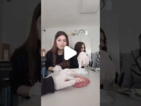 Özel Tuzla Edukent Anadolu Lisesi - 36