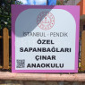 Özel Sapanbağları Çınar Anaokulu