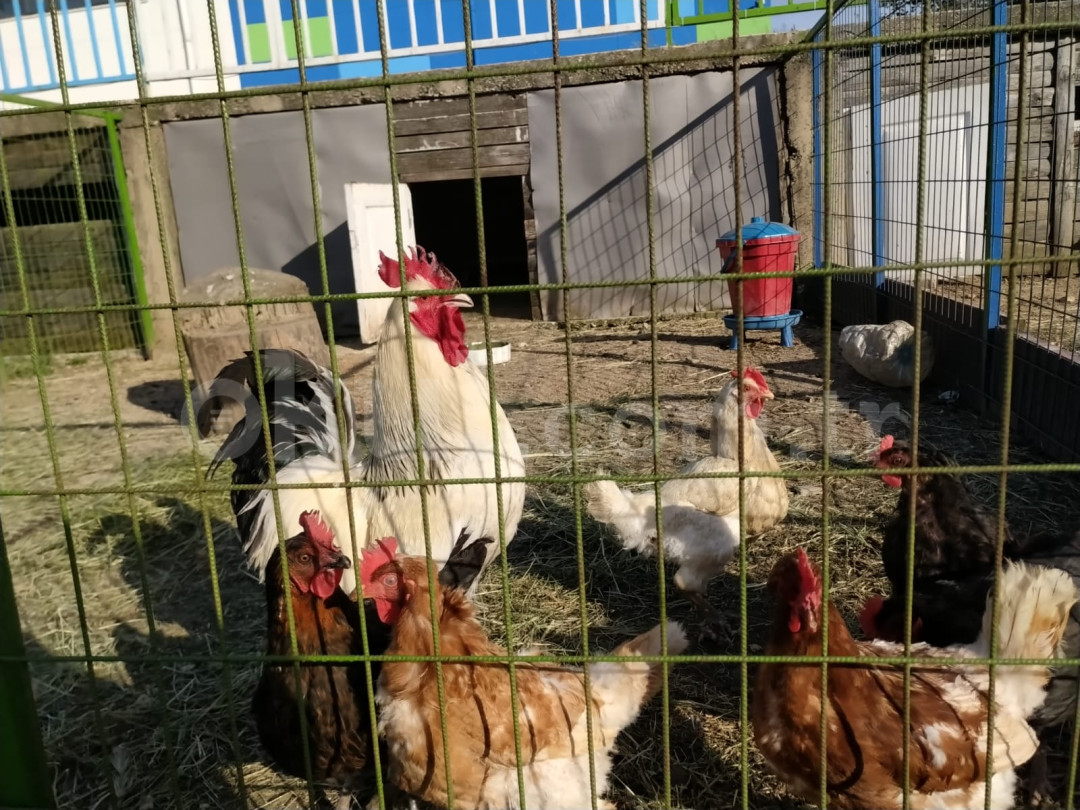 Özel Çevre Bilim Koleji Ortaokulu - 13