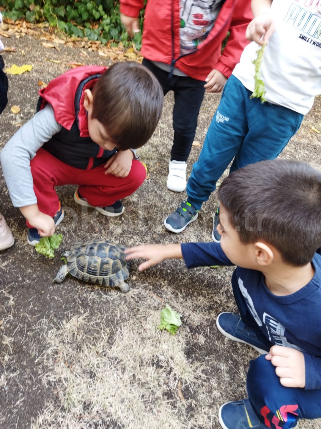 Özel Seçilmiş Anaokulu - 16