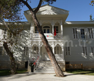 Genel Bakış
