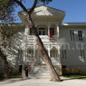 Özel Roots Early Learning Center Anaokulu