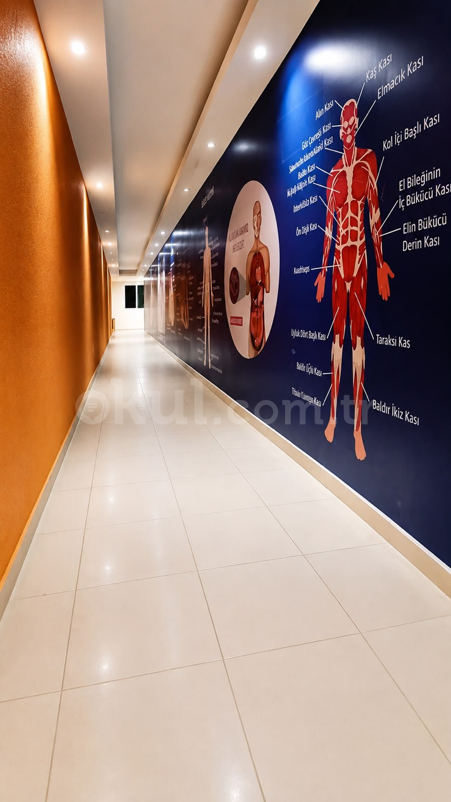 Özel İstanbul Soyak Yenişehir Kavram Okulları Ortaokulu - 22