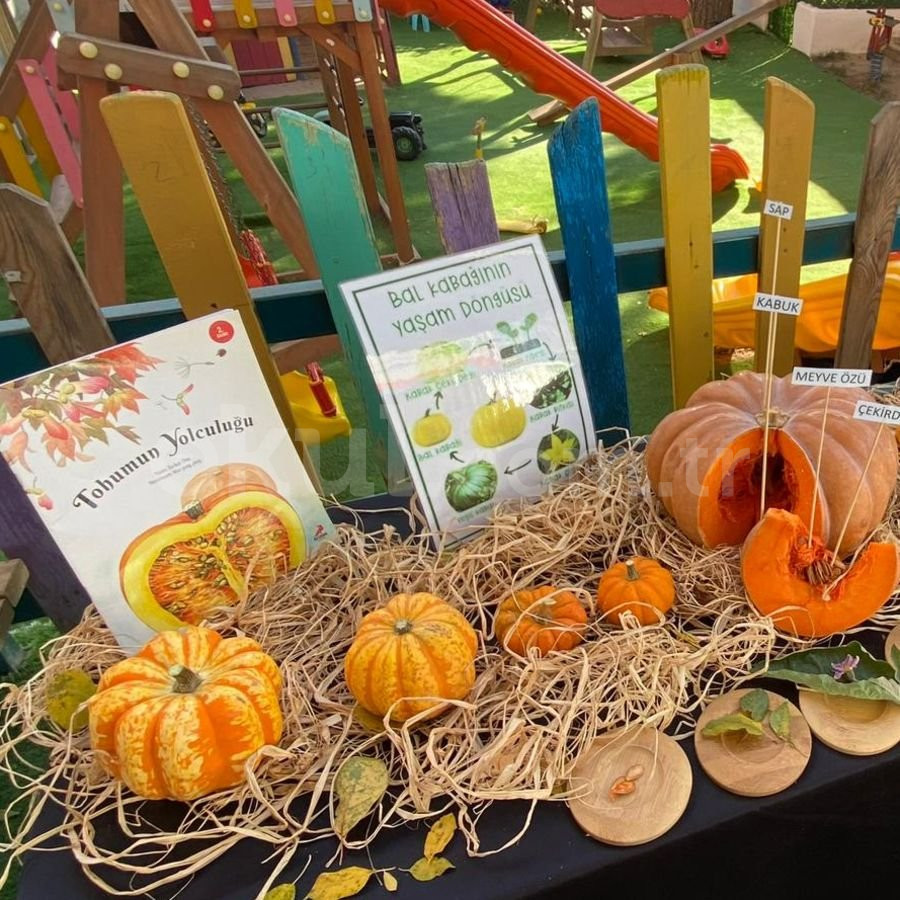 Özel Erik Ağacı Anaokulu - 16