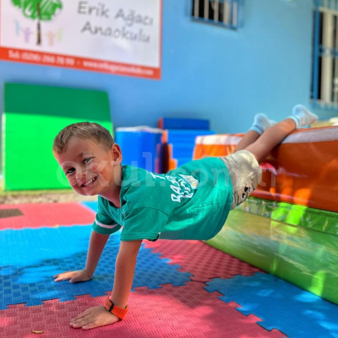 Özel Erik Ağacı Anaokulu - 21