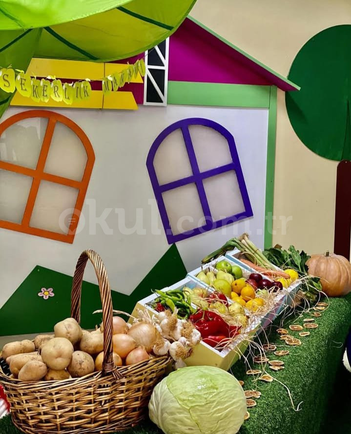 Özel Osmangazi Şekerlik Anaokulu - 2