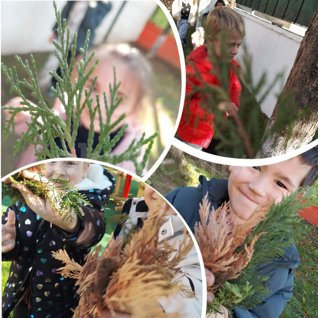 Özel Osmangazi Balkabağım Anaokulu - 24