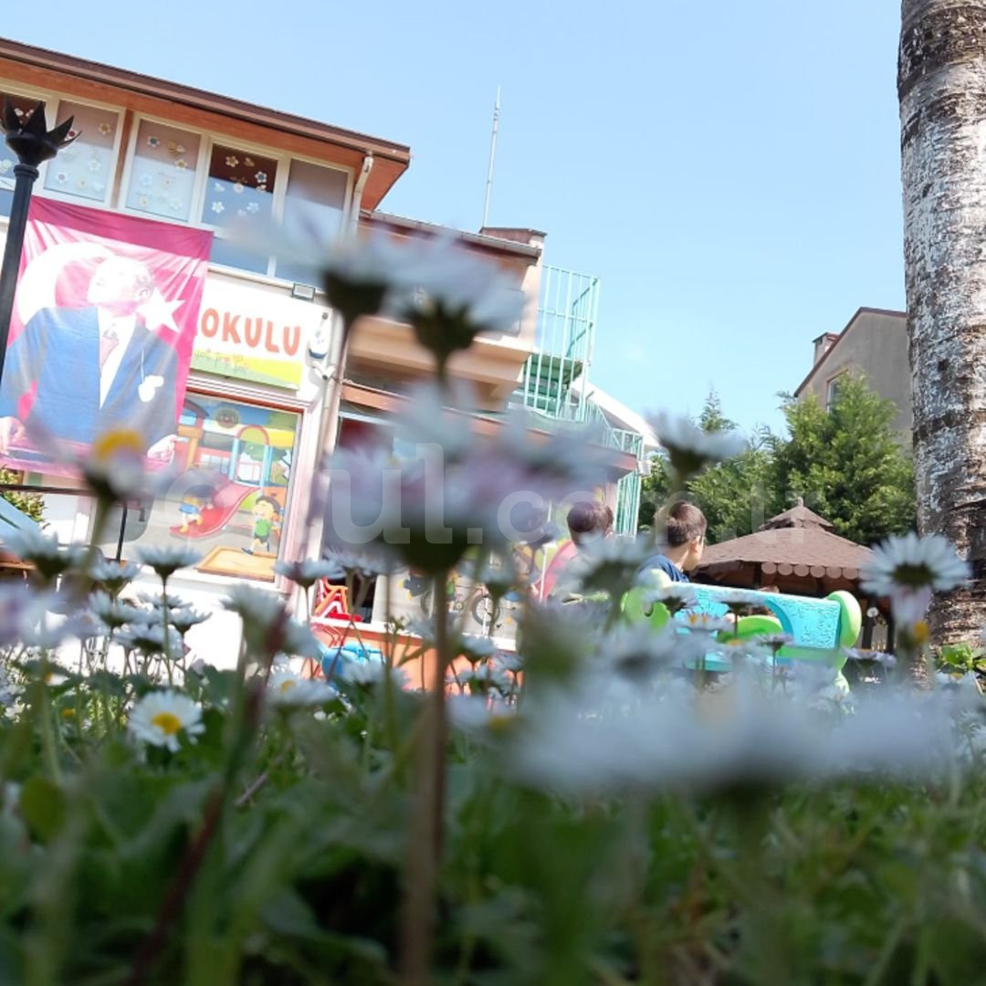 Özel Osmangazi Balkabağım Anaokulu - 31