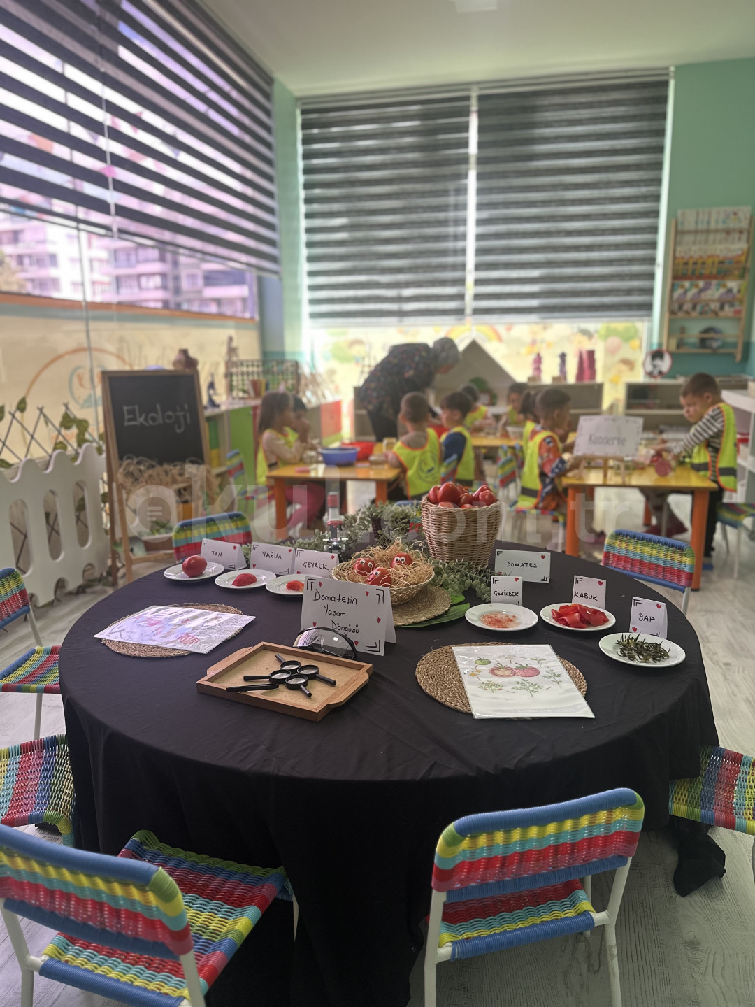 Özel Yenişehir Minik Düşler Akademi Anaokulu - 14