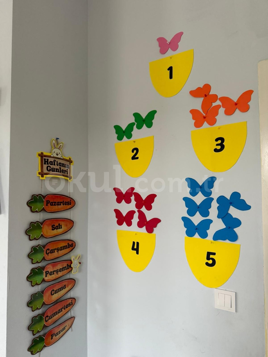 Özel Osmangazi Balpeteğim Anaokulu - 14