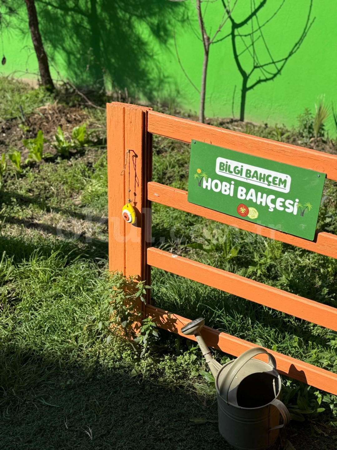 Özel Bilgi Bahçem Anaokulu - 4