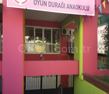Genel Bakış