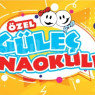 Özel Osmangazi Güleç Anaokulu