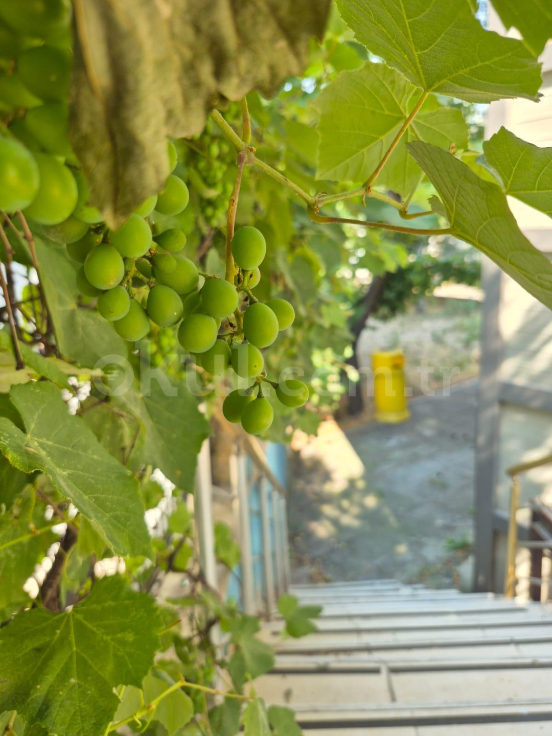 Özel Erdemli Nesil Anaokulu - 11