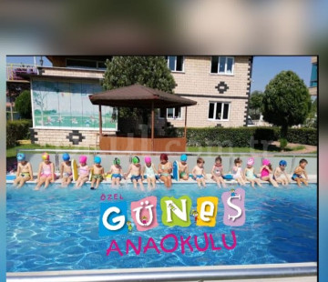 Genel Bakış