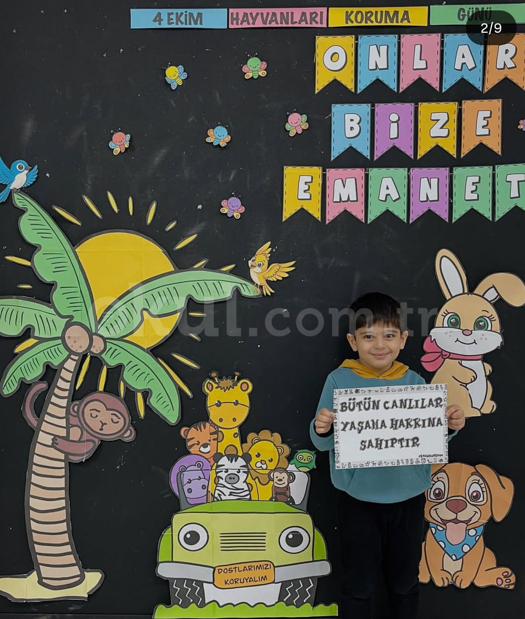 Özel Sevimli Balıklar Anaokulu - 23