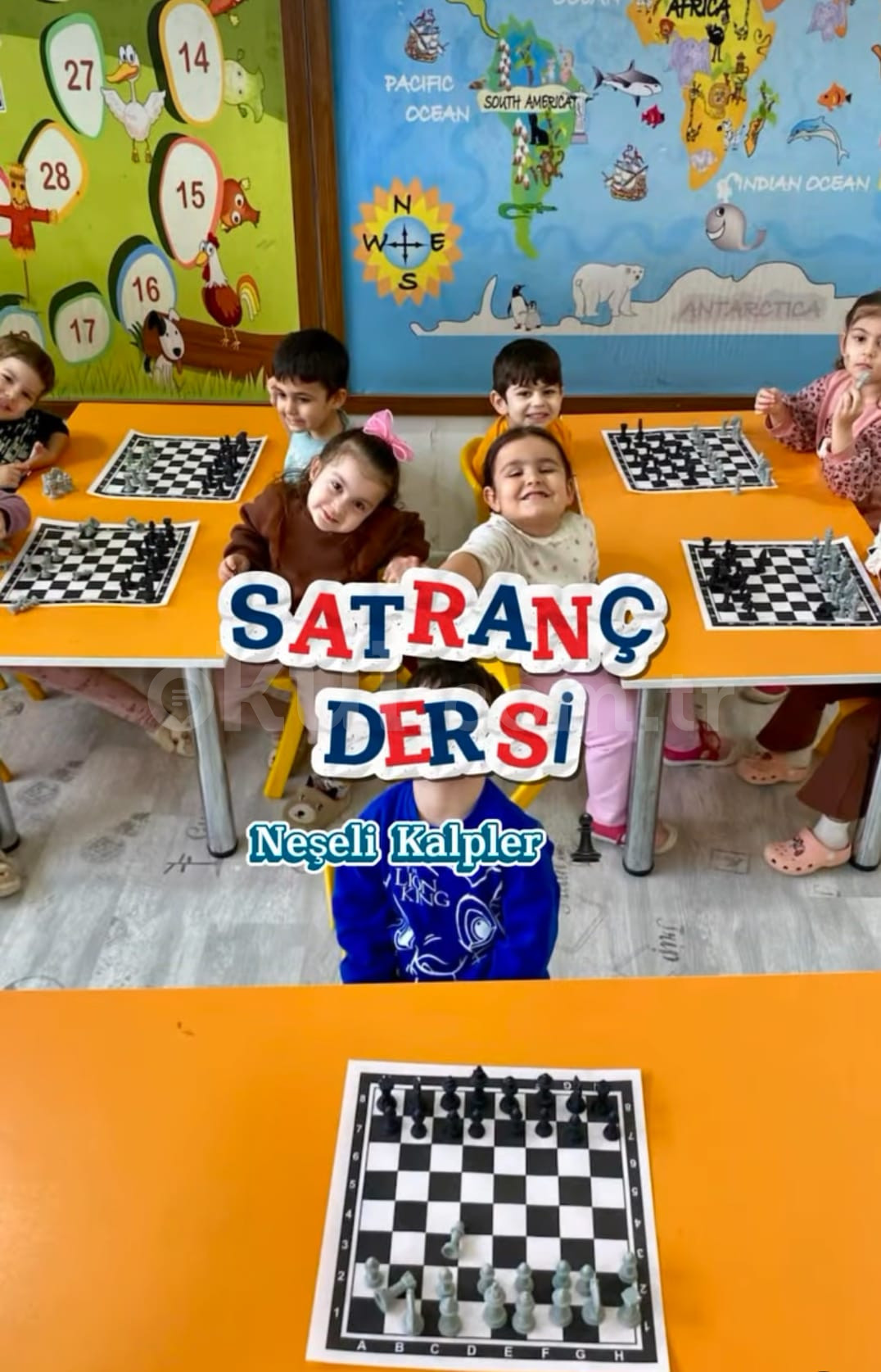 Özel Sevimli Balıklar Anaokulu - 17