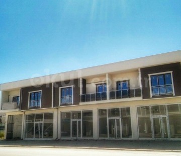 Genel Bakış