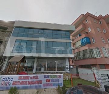 Genel Bakış