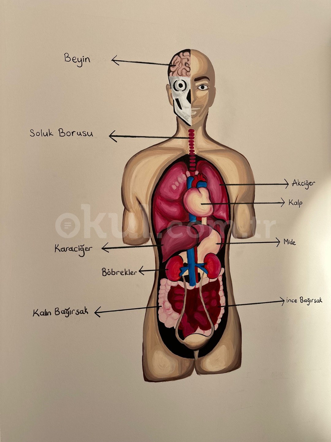 Özel Bursa Simya Koleji Anadolu Lisesi - 15