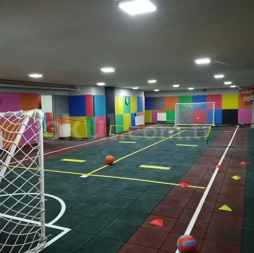 Özel Arya Koleji Anadolu Lisesi - 4