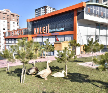 Özel Teknofen Koleji Anaokulu