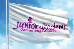 Özel Junior Akademi Uzman Bilge Anaokulu - 33