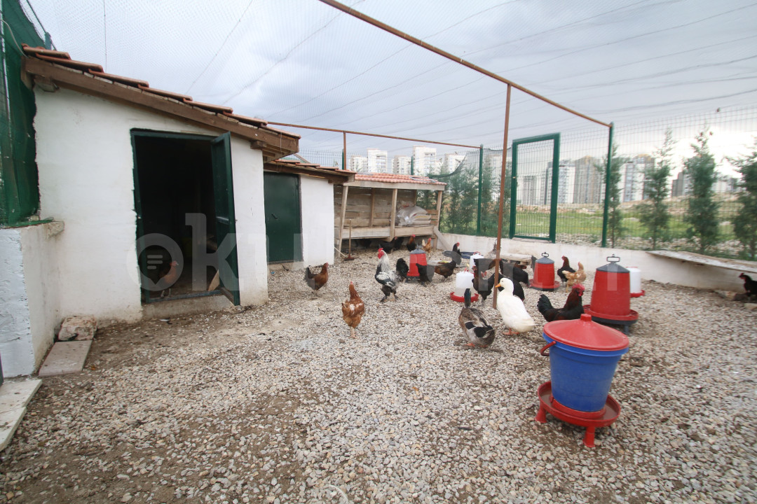 Özel Çankaya Odtülüler Anaokulu - 35