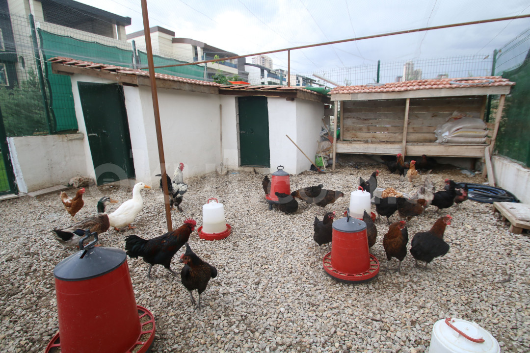 Özel Çankaya Odtülüler Anaokulu - 34