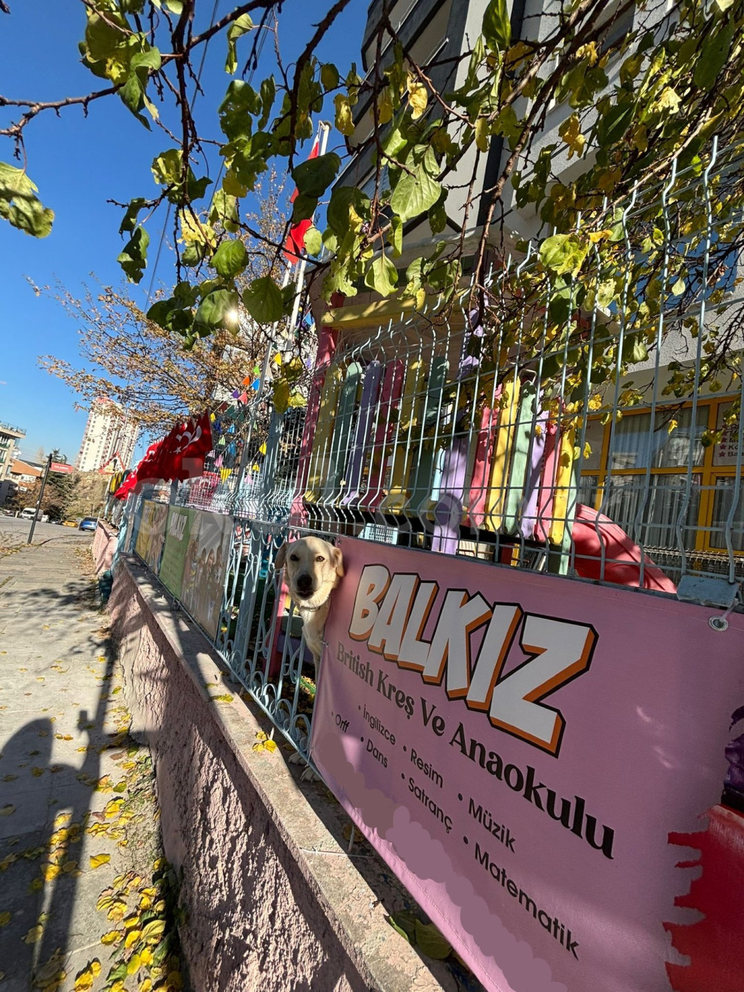 Özel Birlik Balkız Kreş ve Gündüz Bakımevi - 2