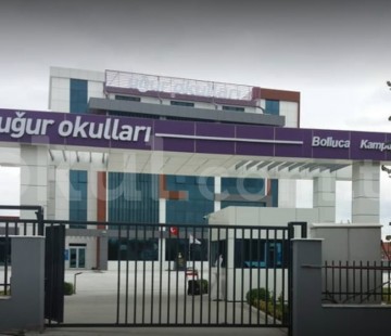 Genel Bakış