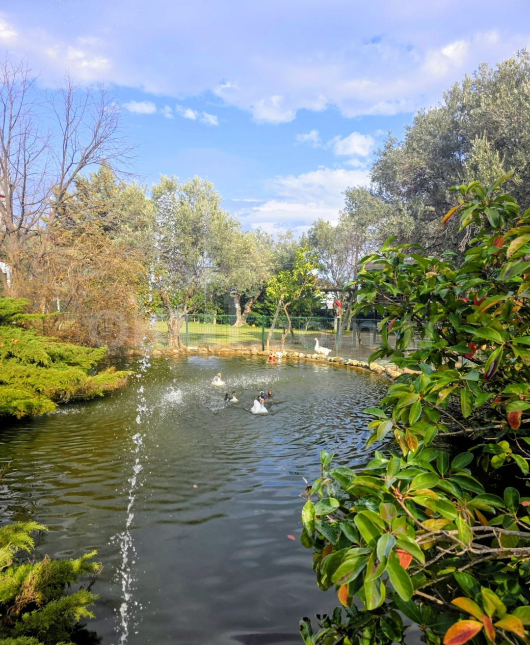 Özel Bilim Koleji İlkokulu - 2