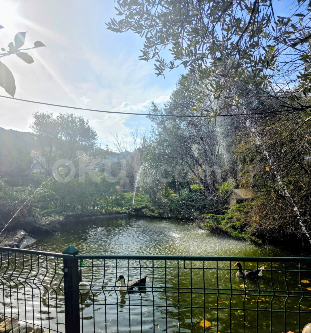 Özel Bilim Koleji İlkokulu - 7