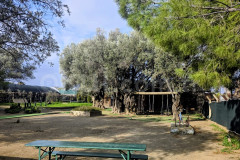 İzmir Bilim Koleji Kampüsü