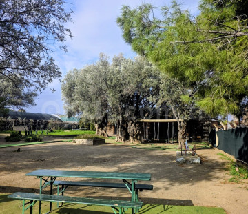 Özel Bilim Koleji İlkokulu