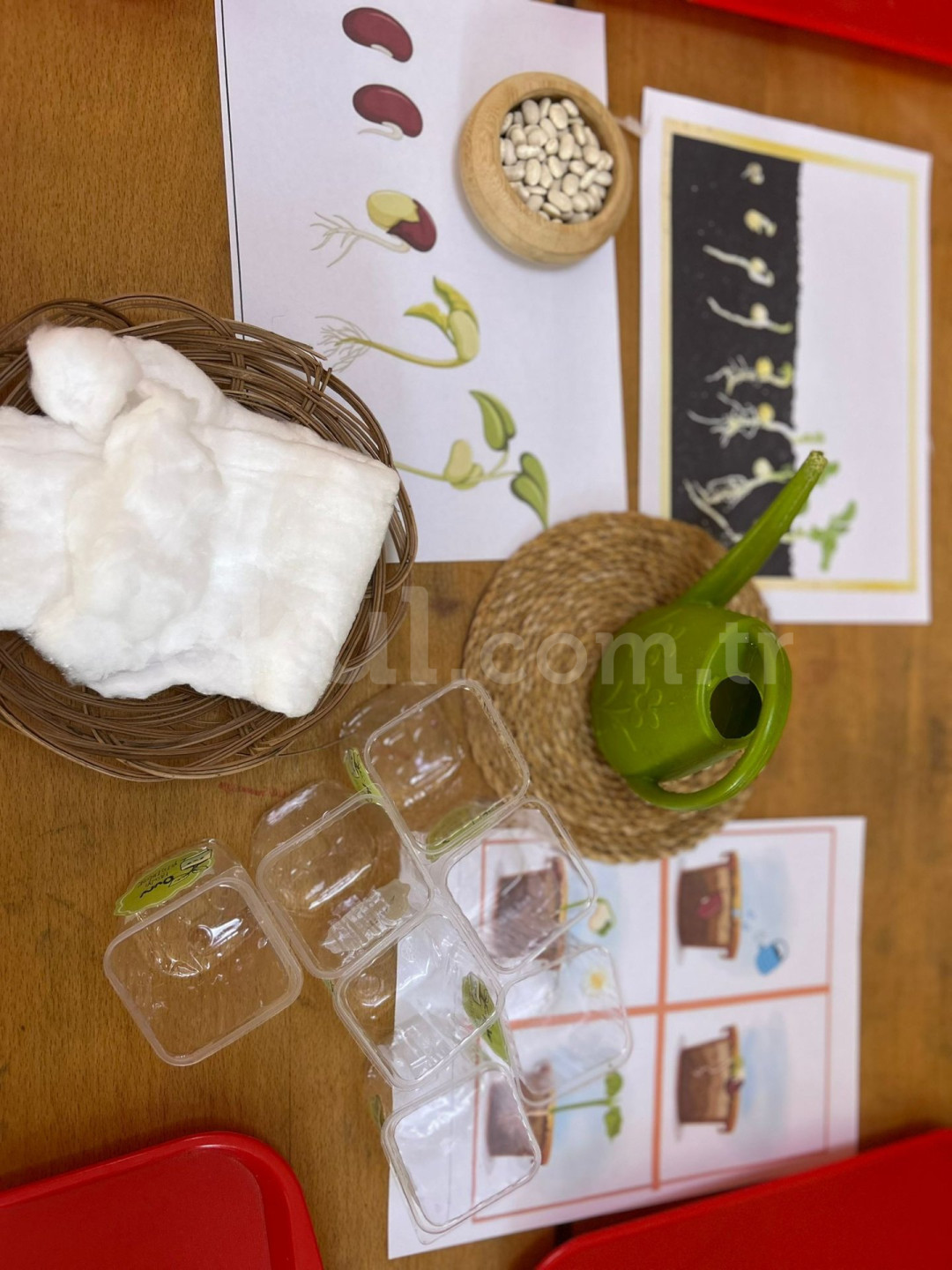 Özel Derince Gelecek Adası Montessori Gündüz Bakım Evi - 12