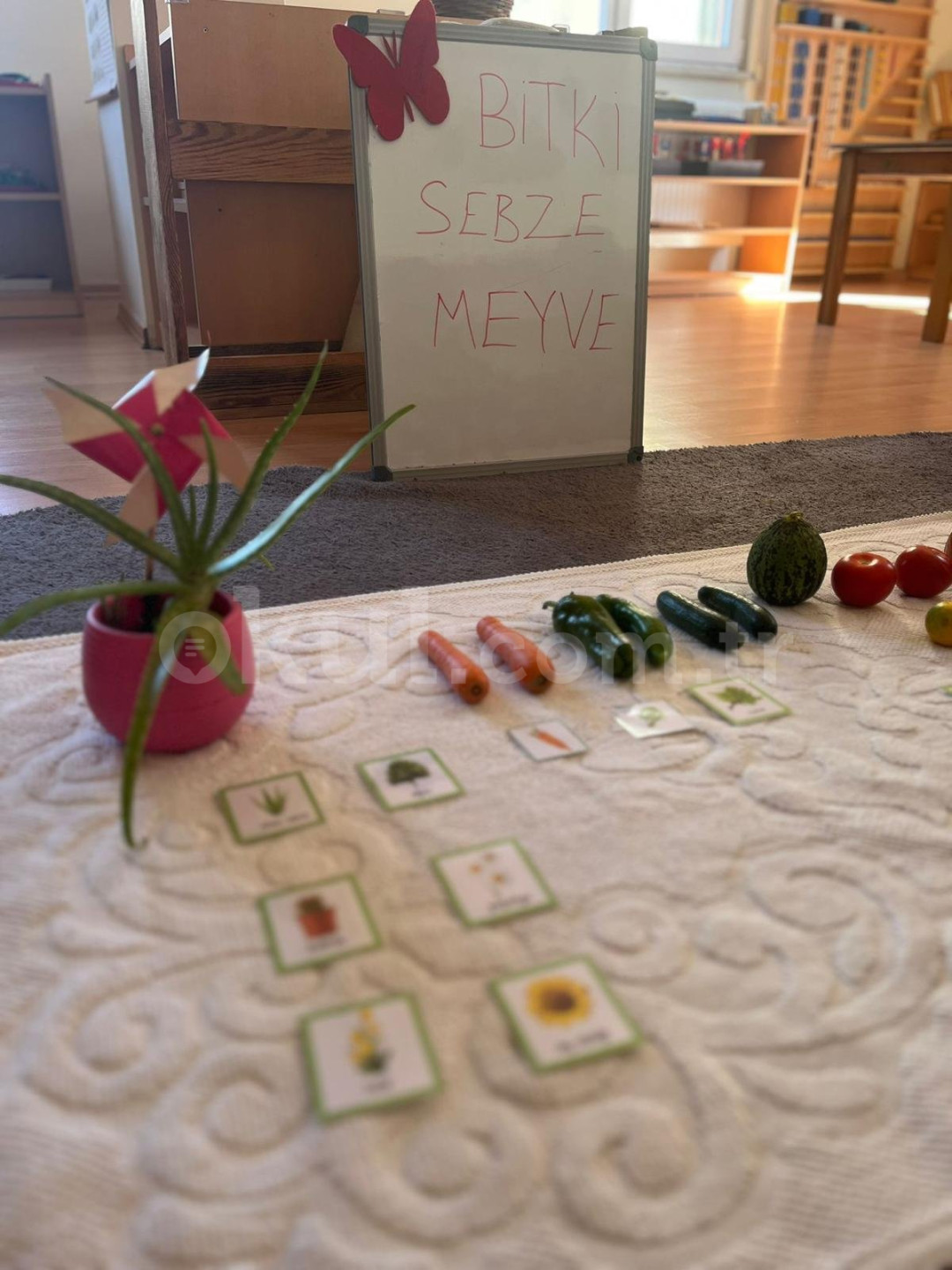 Özel Derince Gelecek Adası Montessori Gündüz Bakım Evi - 8