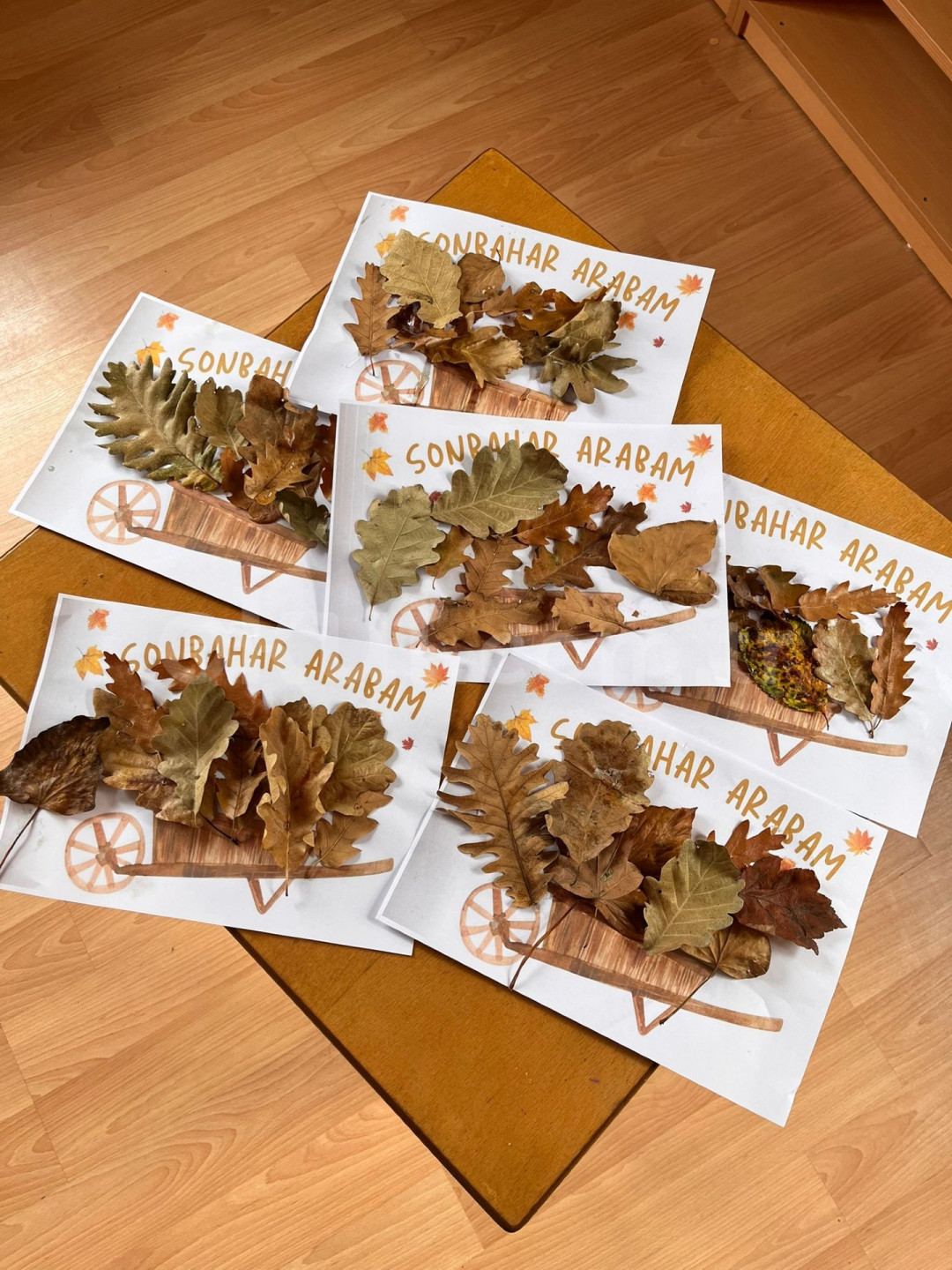 Özel Derince Gelecek Adası Montessori Gündüz Bakım Evi - 7