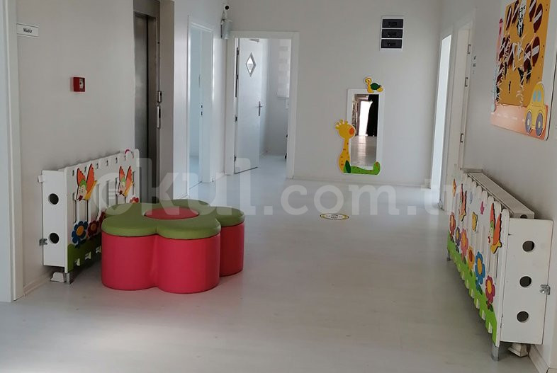 Özel Asil Çocuk Anaokulu - 11