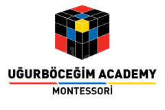 Özel Gölcük Uğur Böceğim Academi Anaokulu