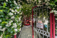 Özel Melekler ve Doğa Gündüz Bakımevi